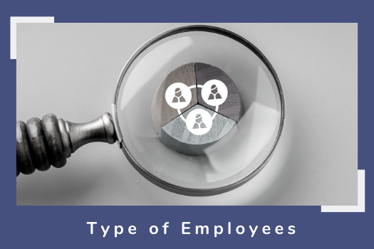 Through the EYES of HR - Type of Employees
