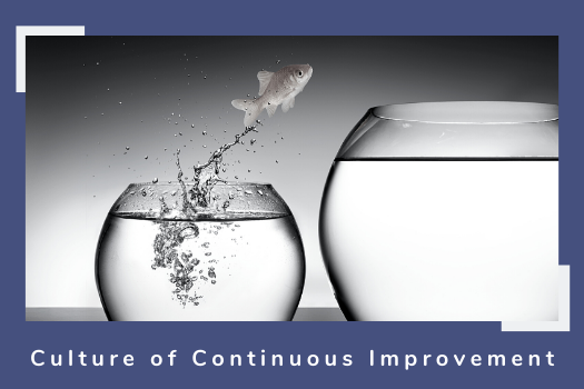 Helping you build a Culture of Continuous Improvement